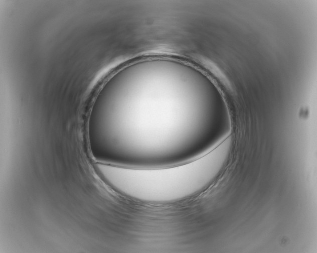 X0000092041356200709120957