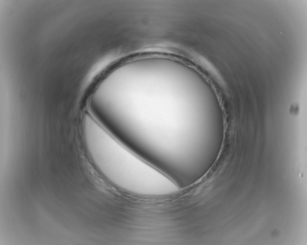 X0000092041360200709120957