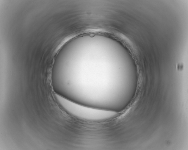 X0000092041361200709120956