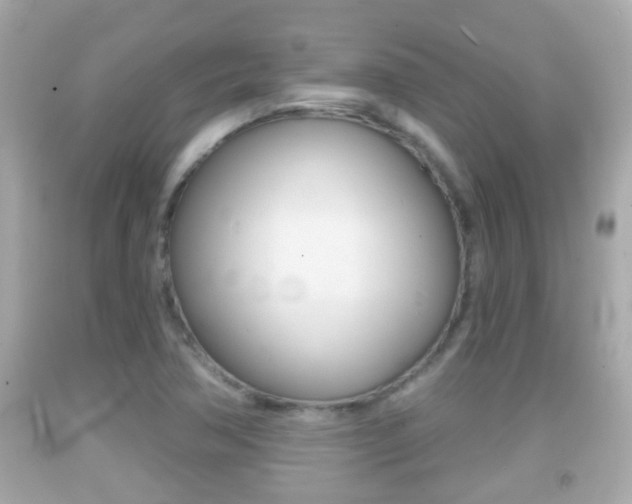 X0000092041362200709120956