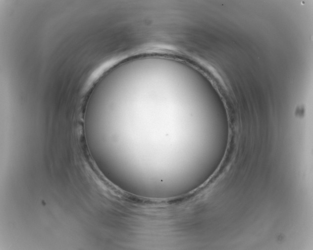 X0000092041363200709120956