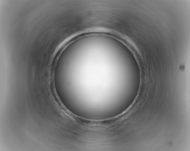 X0000092041364200709120956