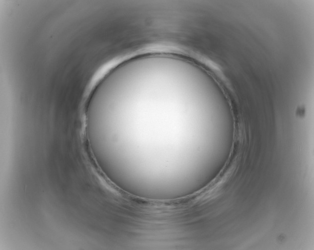 X0000092041366200709120956