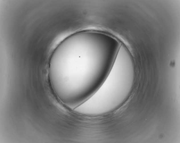 X0000092041367200709120956