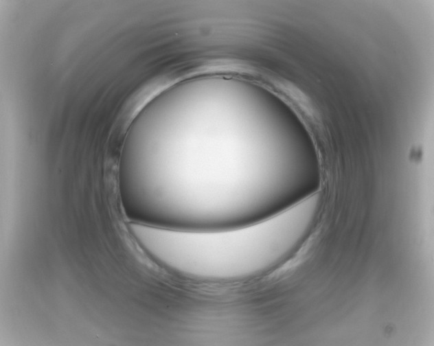 X0000092041369200709120956