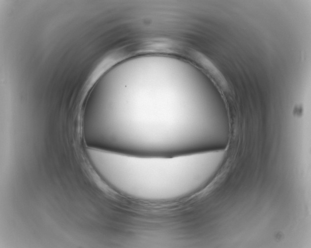 X0000092041370200709120956