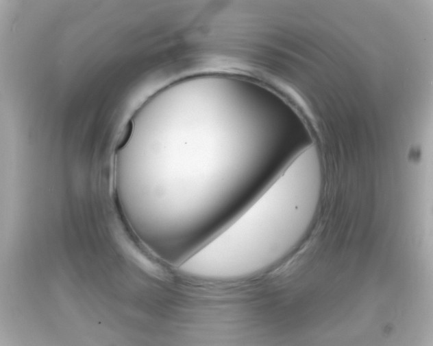 X0000092041371200709120956