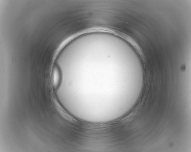 X0000092041372200709120956