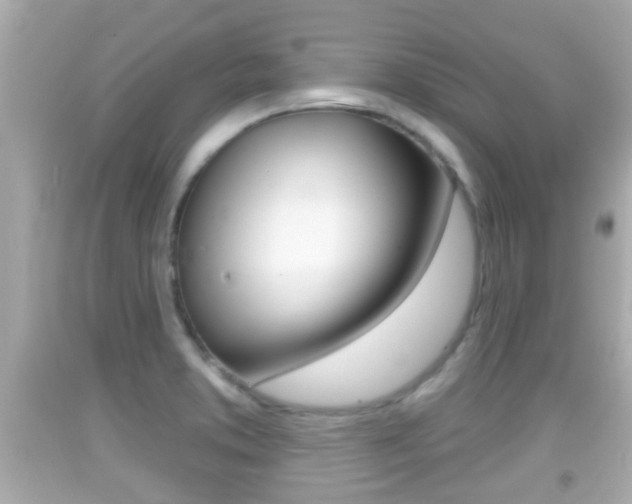 X0000092041373200709120956