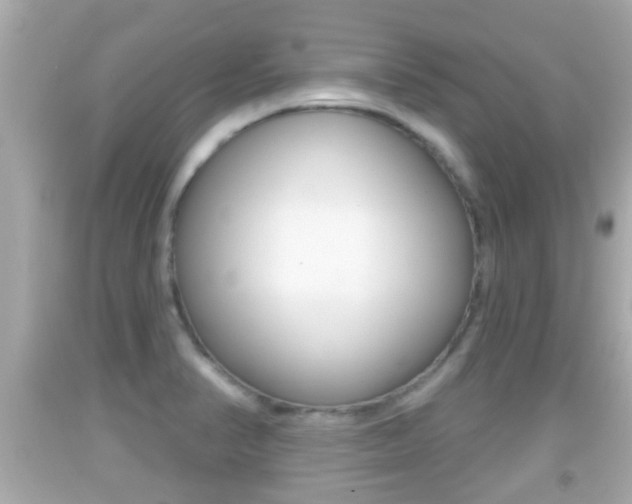 X0000092041374200709120956
