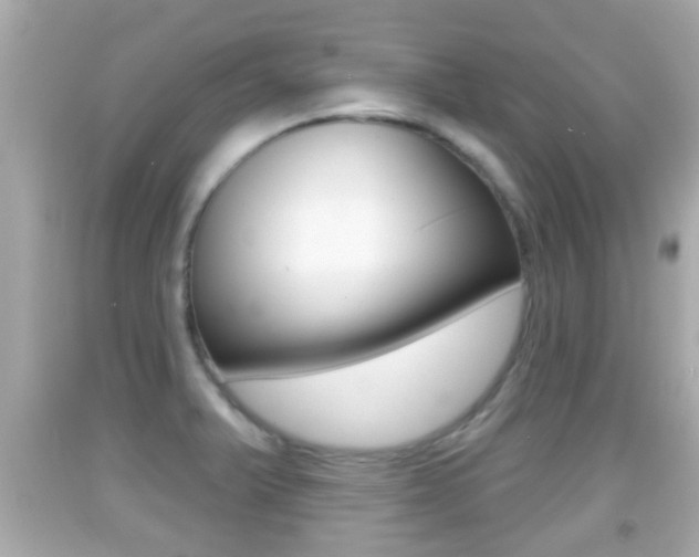 X0000092041375200709120956