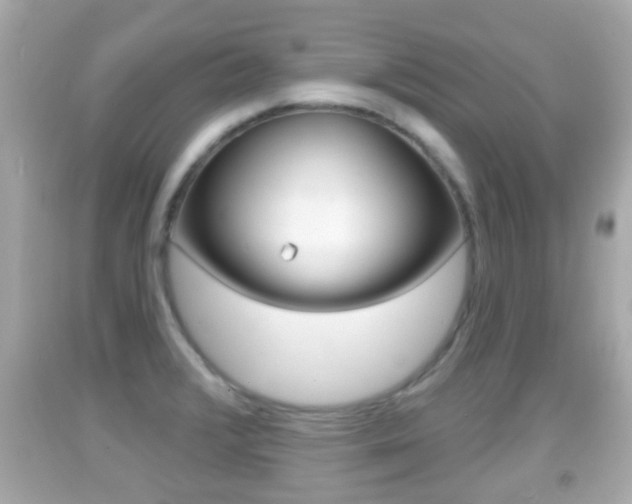 X0000092041376200709120956