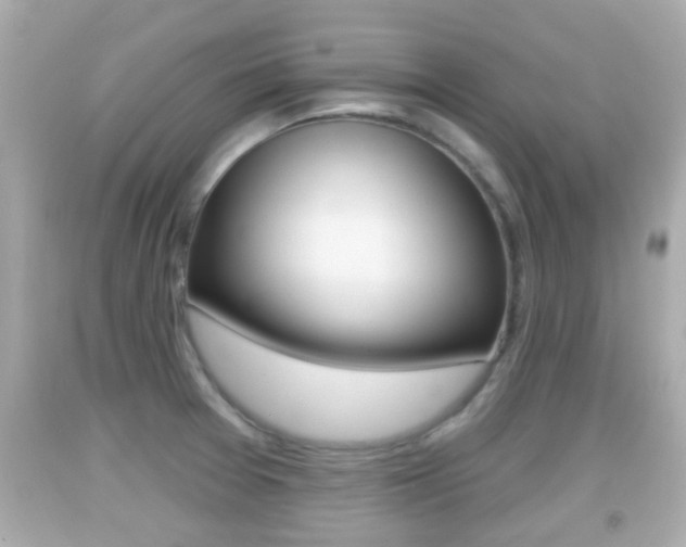 X0000092041377200709120956