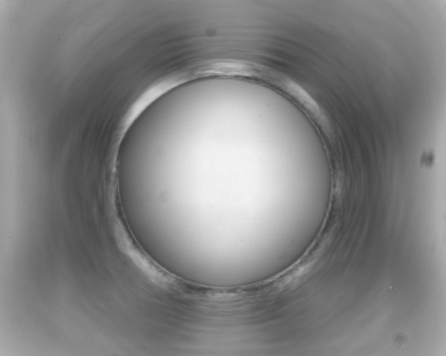 X0000092041378200709120956