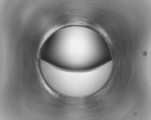 X0000092041379200709120956