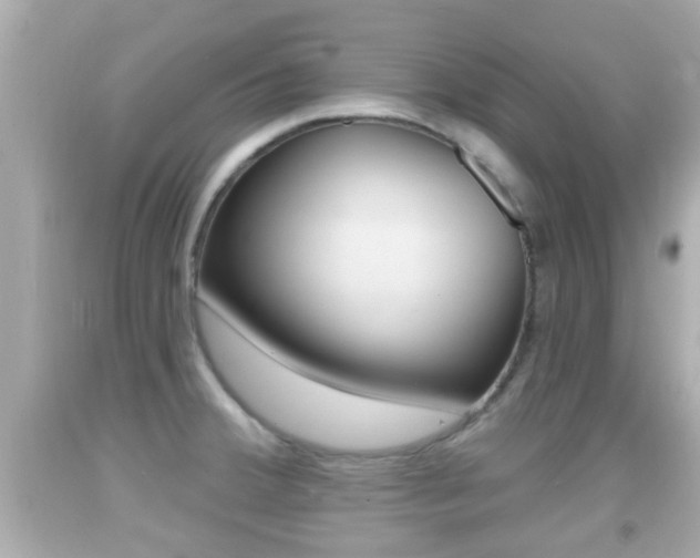 X0000092041380200709120956
