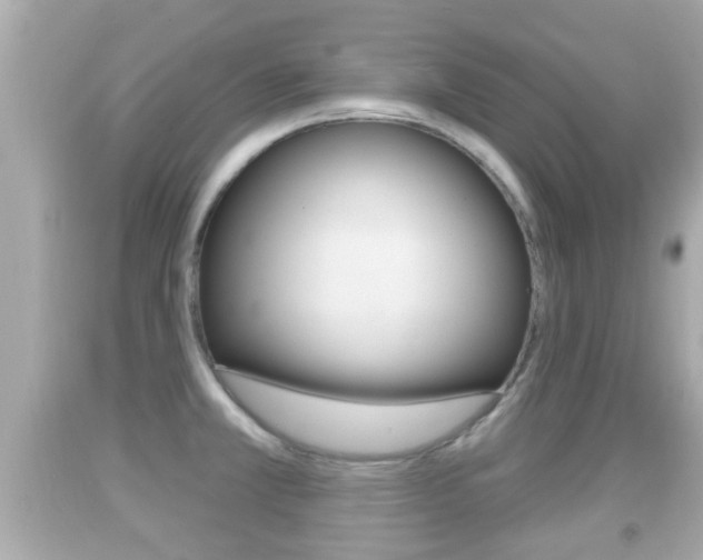 X0000092041381200709120956