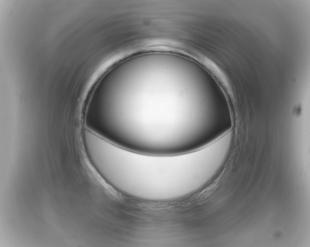 X0000092041384200709120956