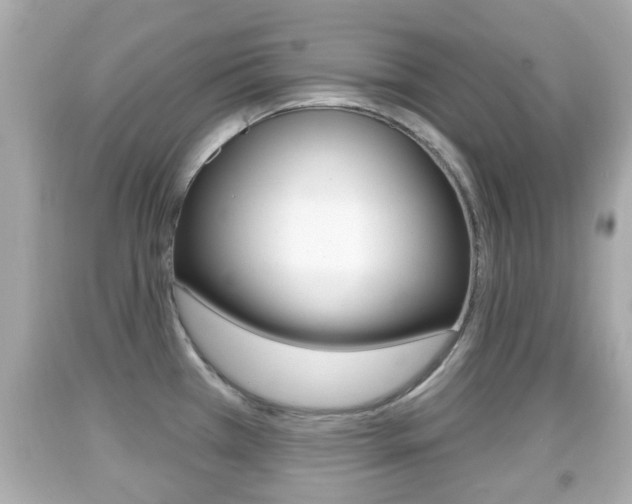 X0000092041385200709120956