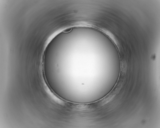 X0000092041387200709120956