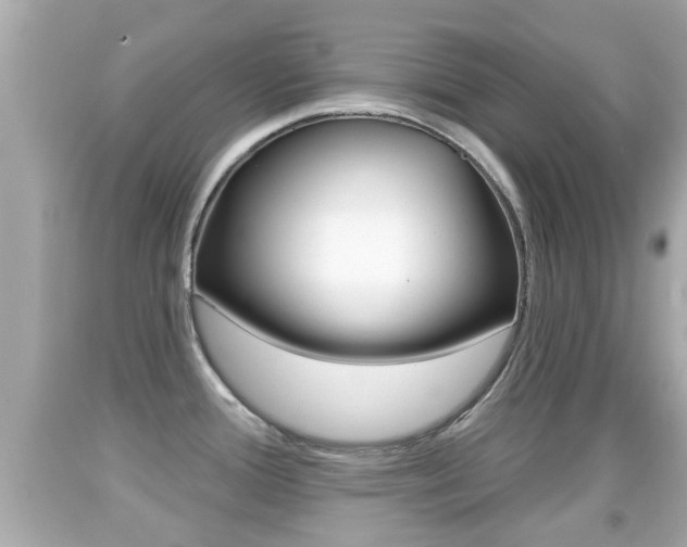 X0000092041388200709120956