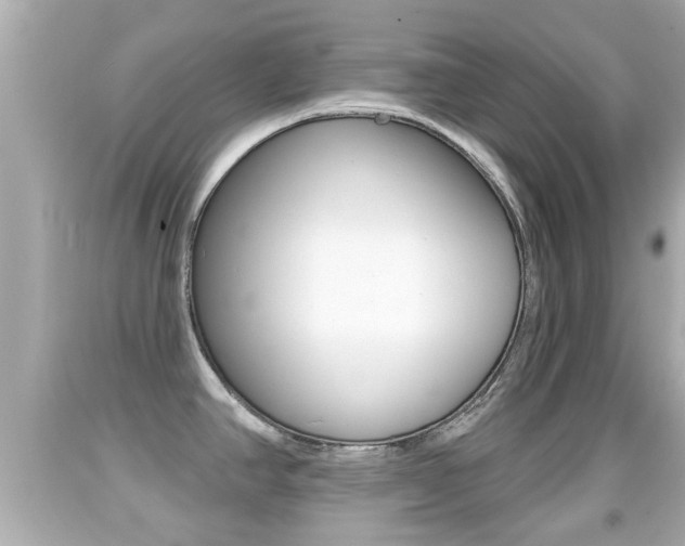 X0000092041390200709120956