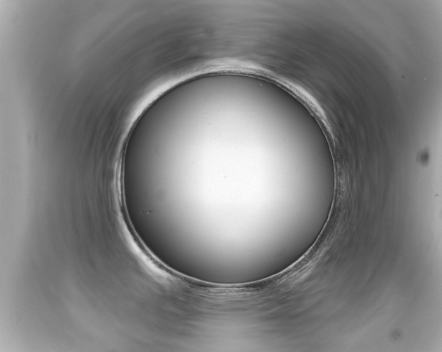 X0000092041391200709120956