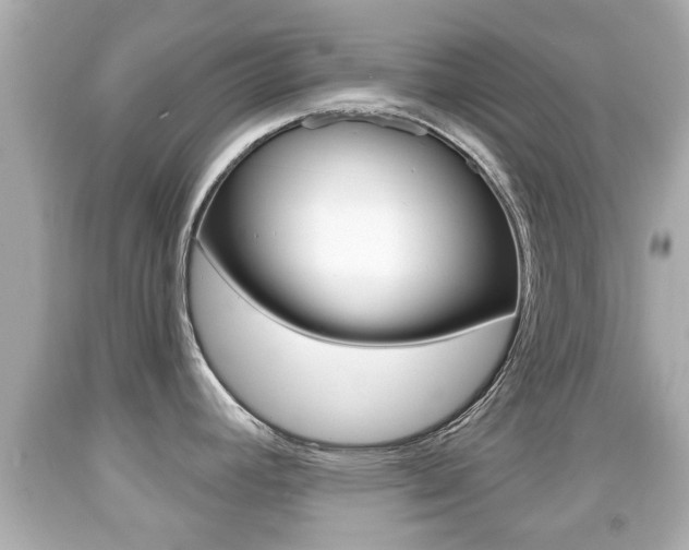 X0000092041392200709120956