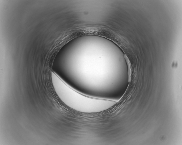 X0000092041394200709120956