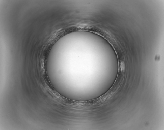 X0000092041396200709120956