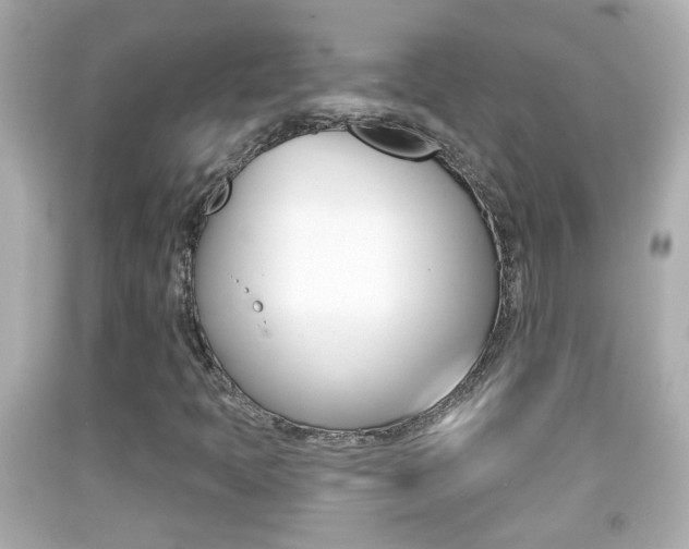 X0000092041397200709120956