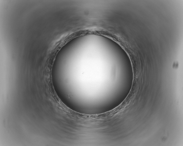 X0000092041398200709120956