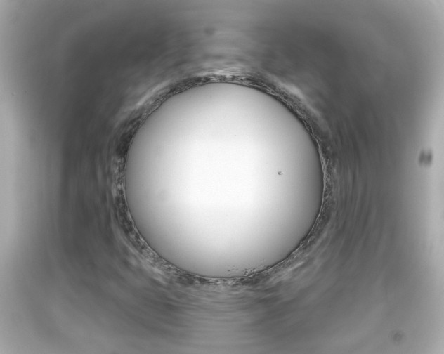 X0000092041399200709120956