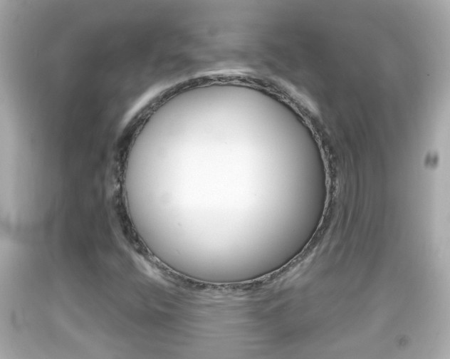X0000092041400200709120956