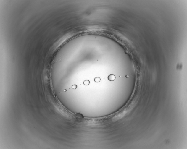X0000092041401200709120956