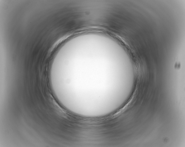 X0000092041402200709120956