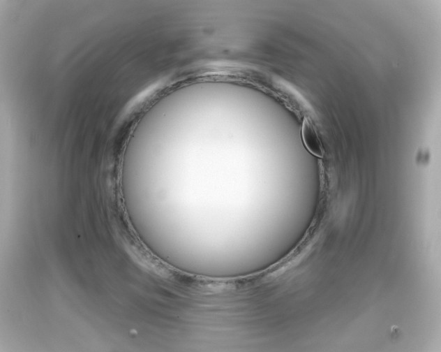 X0000092041403200709120956