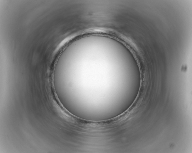 X0000092041404200709120956