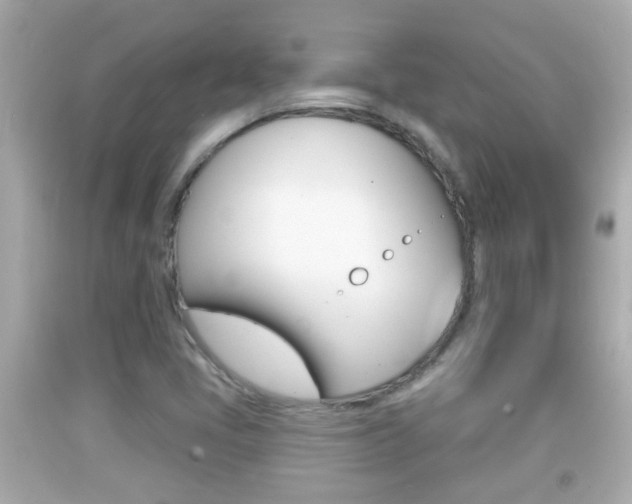 X0000092041405200709120956