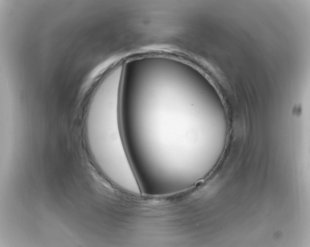 X0000092041406200709120956