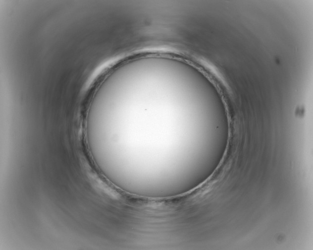 X0000092041408200709120956