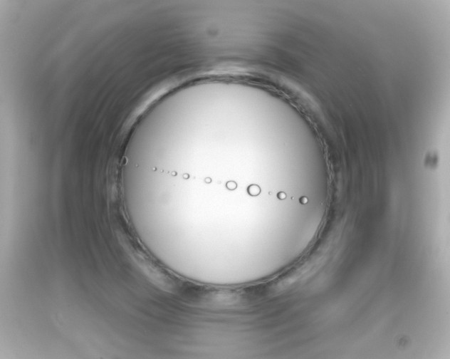 X0000092041409200709120956
