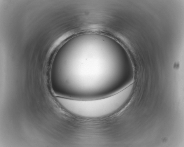 X0000092041410200709120956