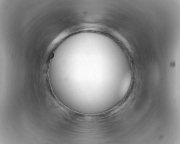 X0000092041411200709120956