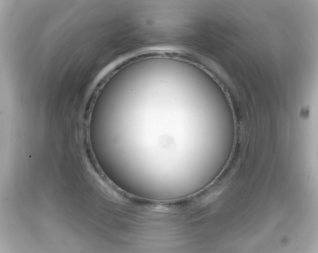 X0000092041412200709120956