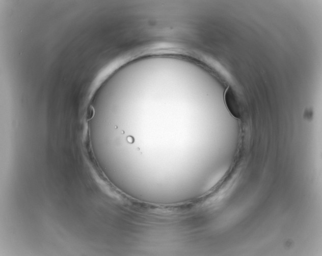 X0000092041413200709120956