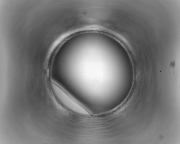 X0000092041414200709120956