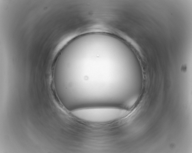 X0000092041415200709120956
