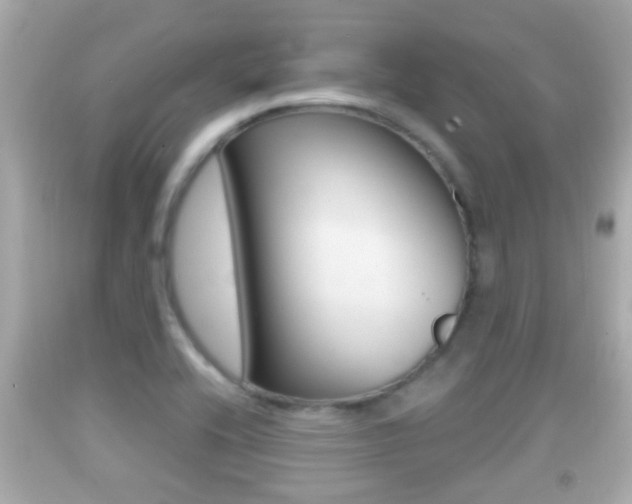 X0000092041416200709120956