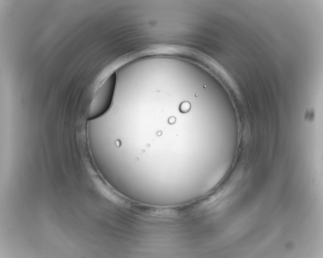 X0000092041417200709120956